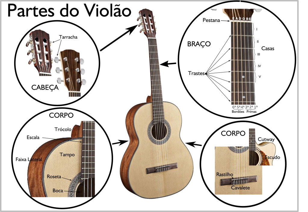 aula de violão-Anatomia